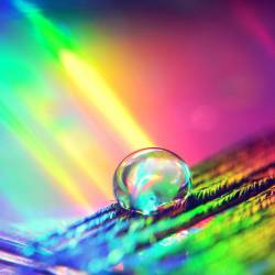 Triste L'Hiver : Night of Years